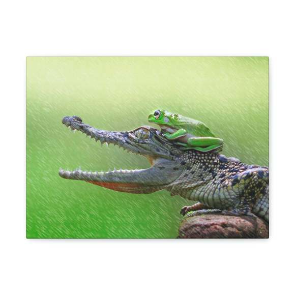 Funny Alligator With Frog on Top of The Head Outside Wall Art